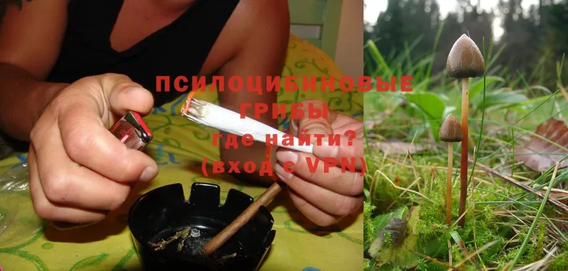 наркотики  Прокопьевск  Галлюциногенные грибы Magic Shrooms 