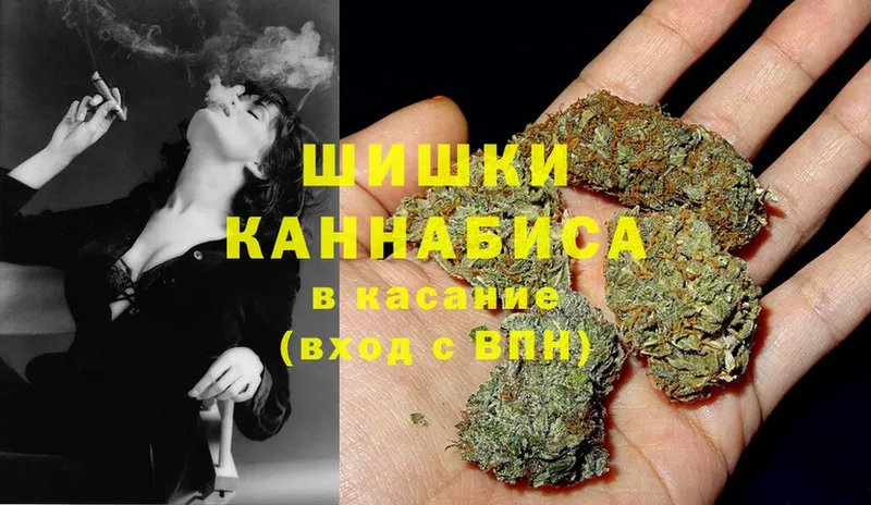 shop телеграм  наркотики  Прокопьевск  Канабис SATIVA & INDICA 